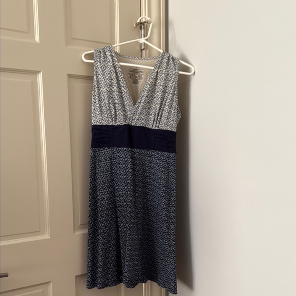 Patagonia Blue and White Sleeveless Sundress